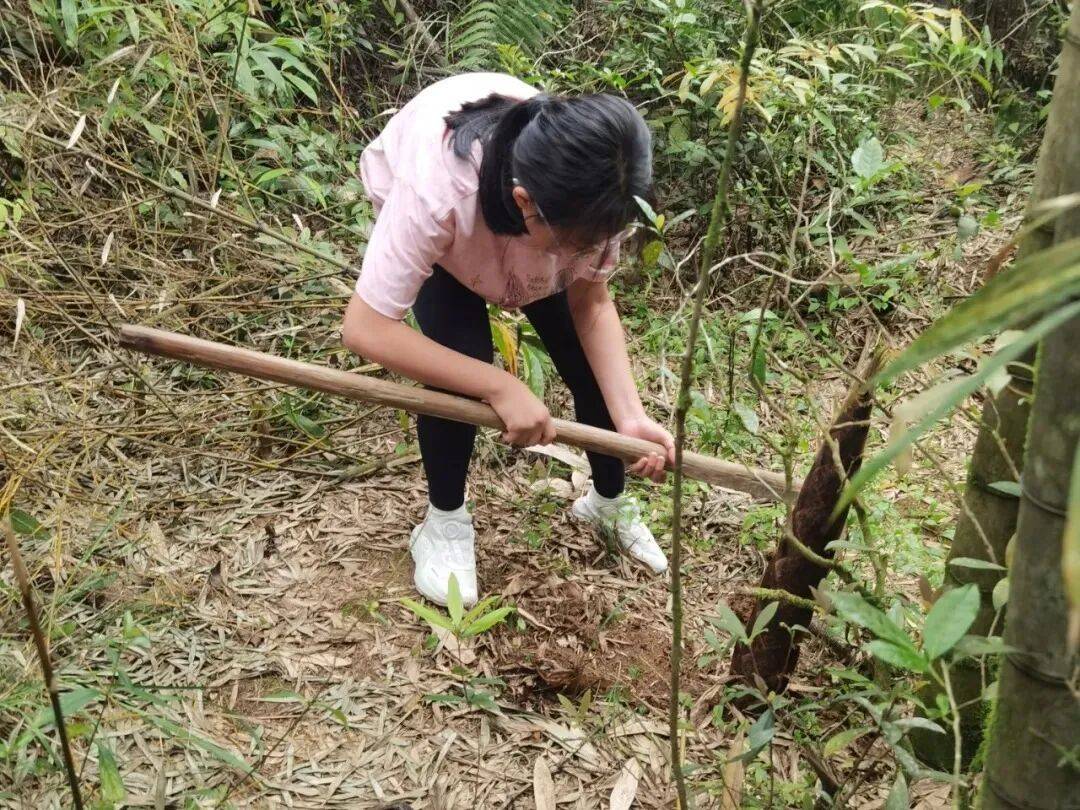军营村高山初心产业运营接待服务中心 预约电话15395921332