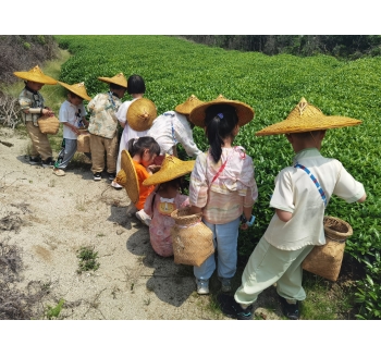 套餐04：茶香沉浸式一日游套餐