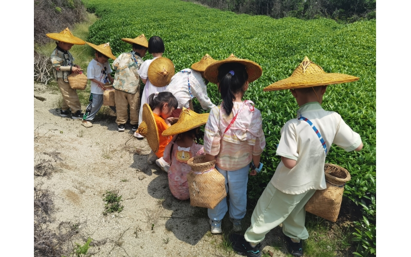 套餐04：茶香沉浸式一日游套餐